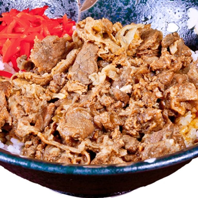 Savor Our Udon Noodles