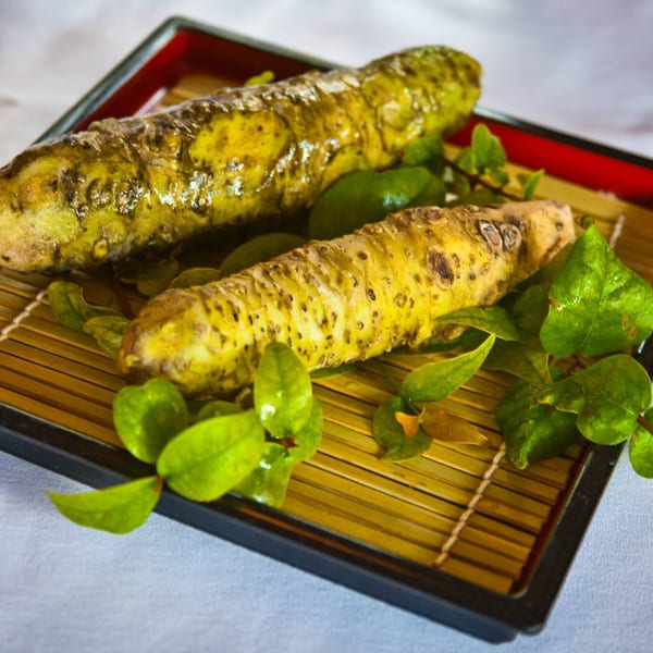 Two fresh wasabi roots and green leaves on a bamboo mat inside a black and red tray.
