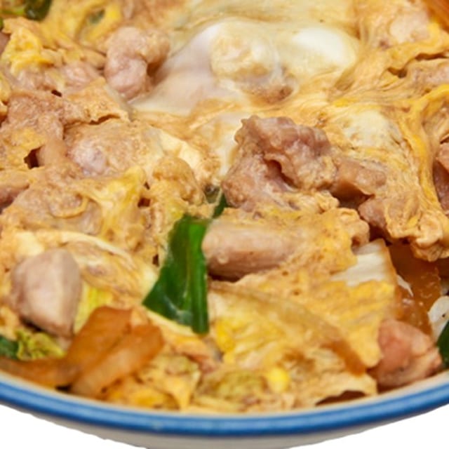 Katsudon Bowl.